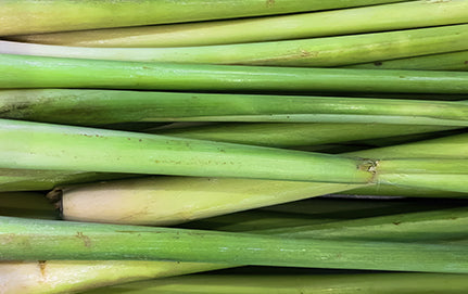 THE BENEFITS, USES, AND HISTORY OF LEMONGRASS & LEMONGRASS OIL