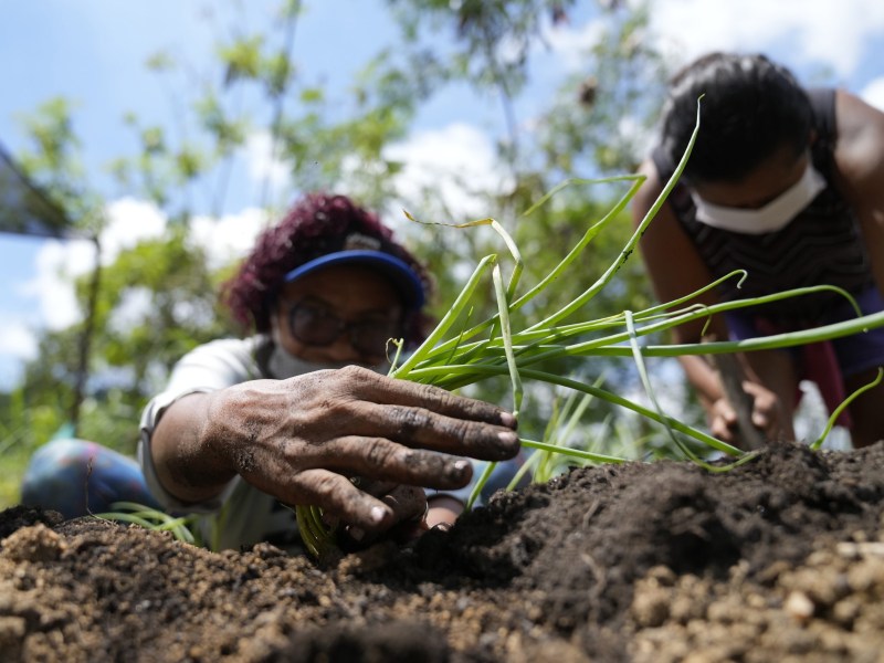 Sustainability as Heritage: Black Communities and Climate Justice