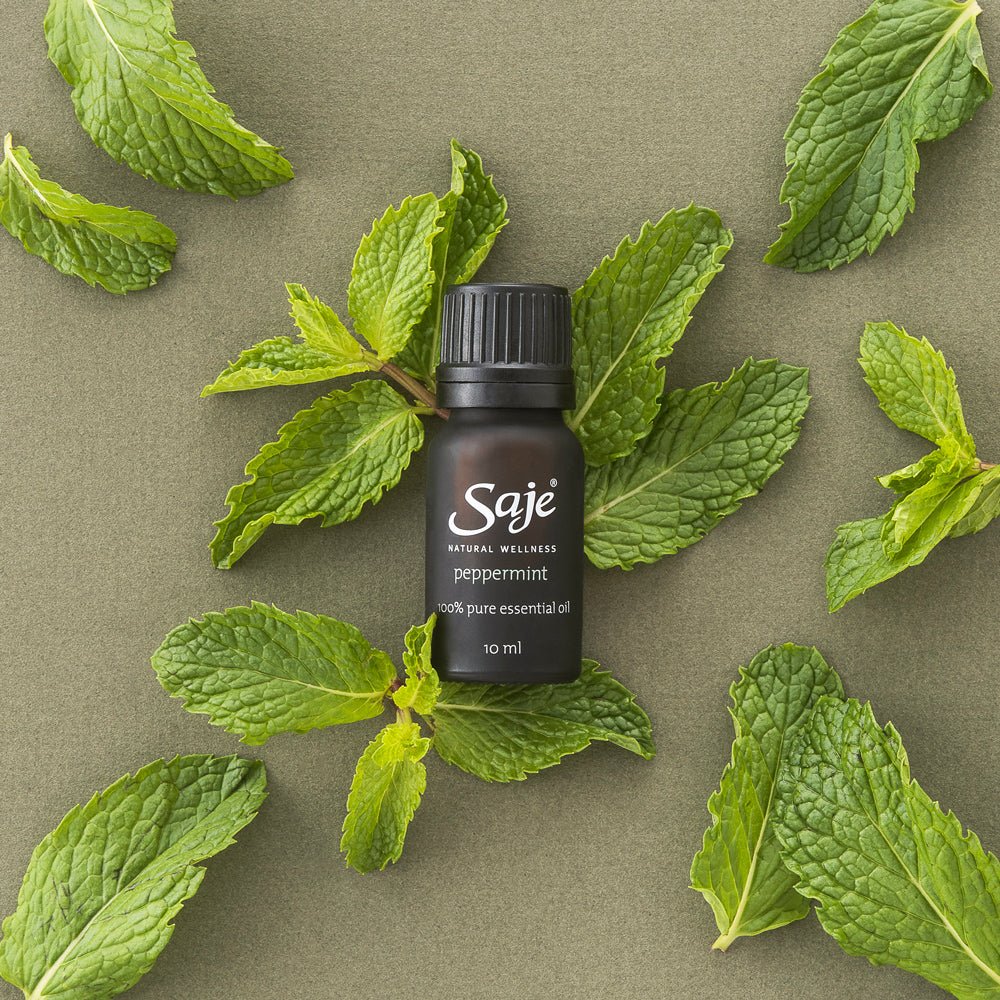 Pure Peppermint essential oil 10ml placed on top of mint