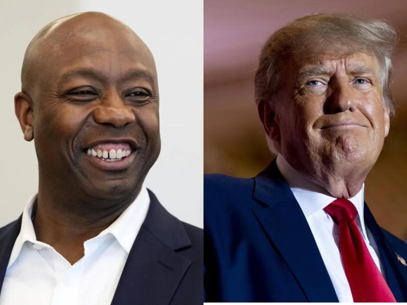 tim scott trump