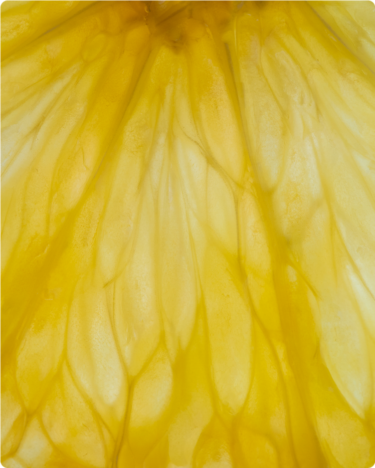 ALL ABOUT LEMON OIL & THE LEMON PLANT